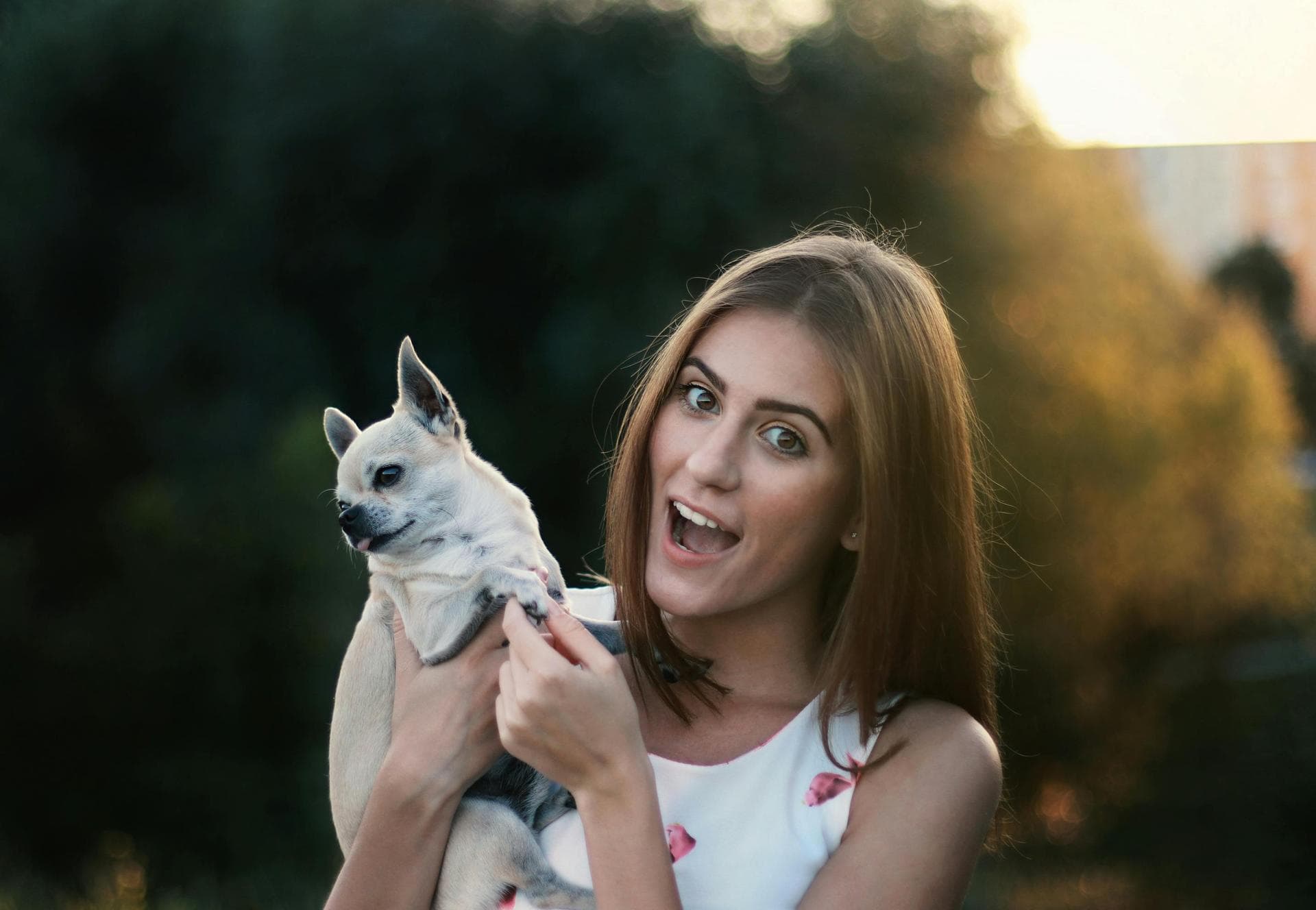Annual Vaccination With Kennel Cough Prices in West Sussex